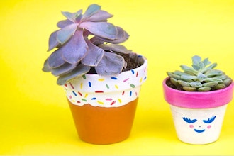 FamilyJAM: Paint and Pot Cute Succulents